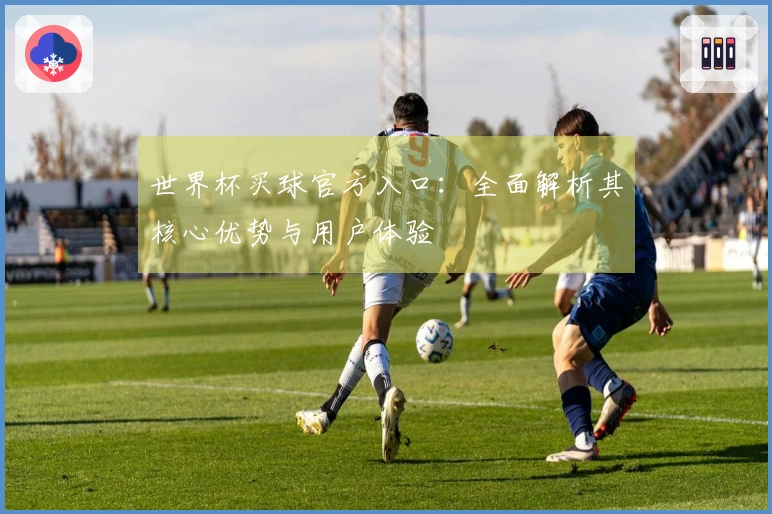 世界杯买球官方入口：全面解析其核心优势与用户体验