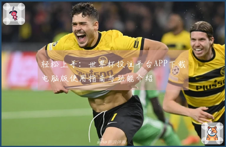 轻松上手：世界杯投注平台APP下载电脑版使用指南与功能介绍
