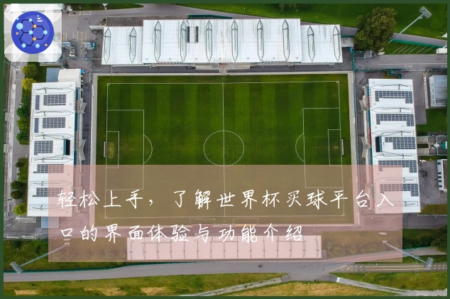 轻松上手，了解世界杯买球平台入口的界面体验与功能介绍