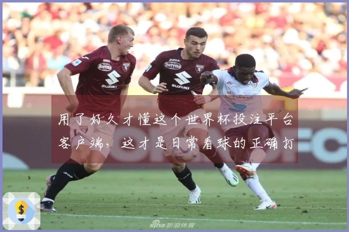 用了好久才懂这个世界杯投注平台客户端，这才是日常看球的正确打开方式
