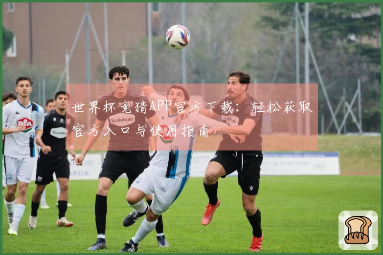 世界杯竞猜APP官方下载：轻松获取官方入口与使用指南
