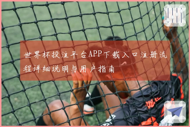 世界杯投注平台APP下载入口注册流程详细说明与用户指南