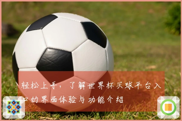 轻松上手，了解世界杯买球平台入口的界面体验与功能介绍