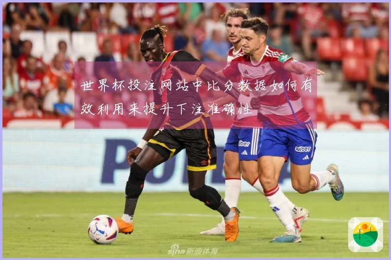 世界杯投注网站中比分数据如何有效利用来提升下注准确性