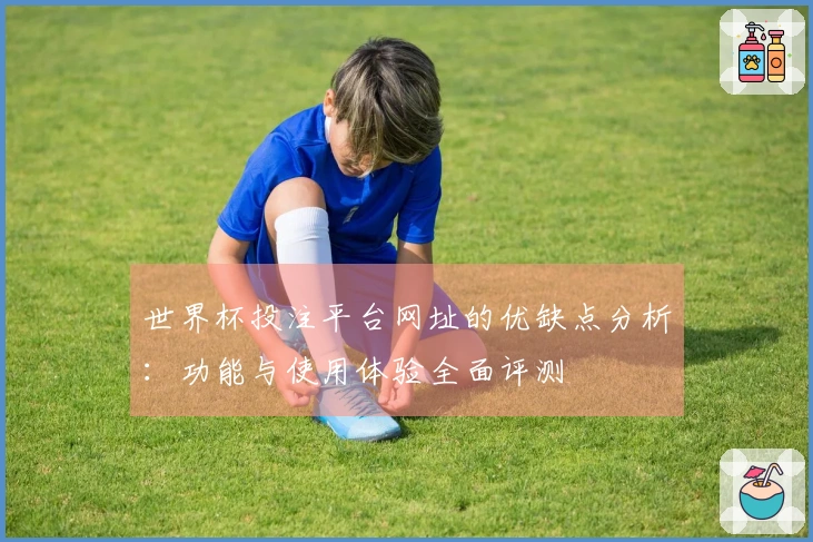 世界杯投注平台网址的优缺点分析：功能与使用体验全面评测