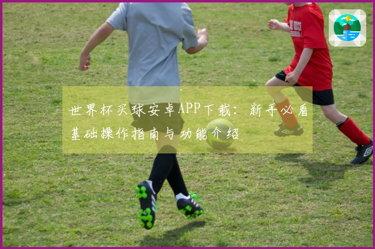 世界杯买球安卓APP下载：新手必看基础操作指南与功能介绍